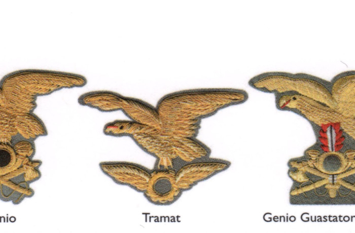 Fregi ricamati Alpini